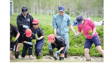 遠別小学校との田植え交流学習
