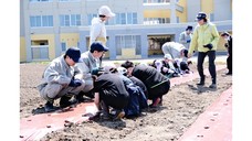 トウモロコシ植え