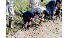 遠別小学校との田植え交流学習