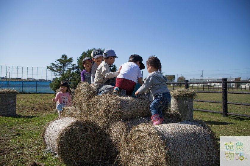 牧草ロールのロールの上で喜ぶ子どもたち