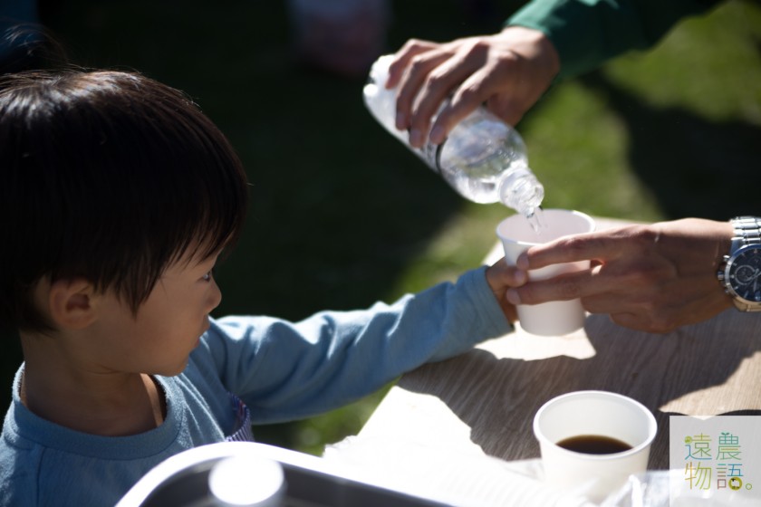 子どもも喜ぶしそジュース